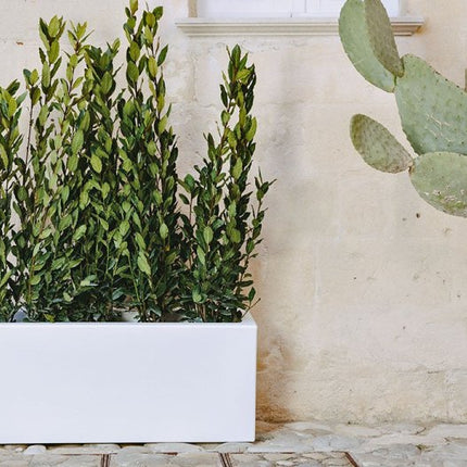 Tecknoplast Fioriera Matera Cm.100x40x40h Antracite/Bianco Tecknoplast