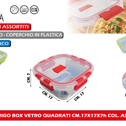 Arca Frigo Box Vetro Quadrati Cm.17X17X7H Col. Ass. Arca