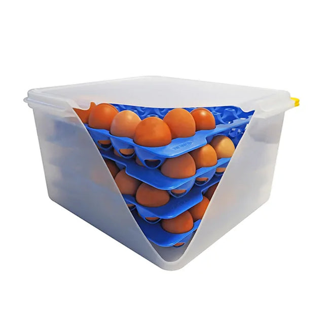 Contenitore per Uova Araven GN 2/3 35.4X32.5X20h + 4 Portauova 30 Posti - Sicurezza Alimentare, Conservazione, Cucina professionale