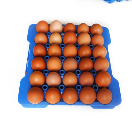 Contenitore per Uova Araven GN 2/3 35.4X32.5X20h + 4 Portauova 30 Posti - Sicurezza Alimentare, Conservazione, Cucina professionale