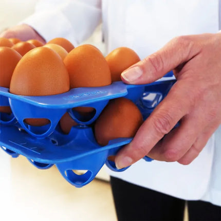 Contenitore per Uova Araven GN 2/3 35.4X32.5X20h + 4 Portauova 30 Posti - Sicurezza Alimentare, Conservazione, Cucina professionale
