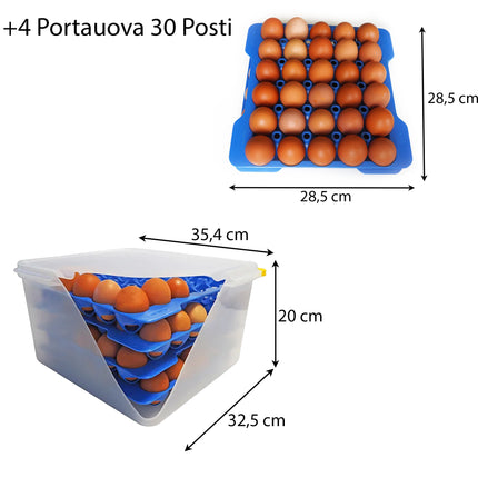 Contenitore per Uova Araven GN 2/3 35.4X32.5X20h + 4 Portauova 30 Posti - Sicurezza Alimentare, Conservazione, Cucina professionale
