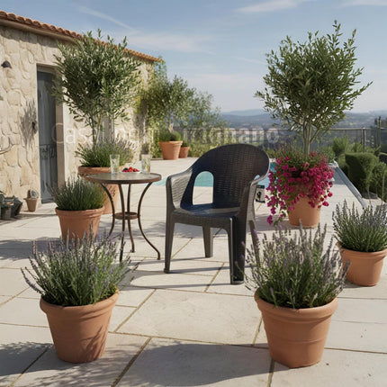 Poltrona Giorgia da Giardino Impilabile con Braccioli in Plastica Riciclata Antracite - Portata 120kg Ecore Home
