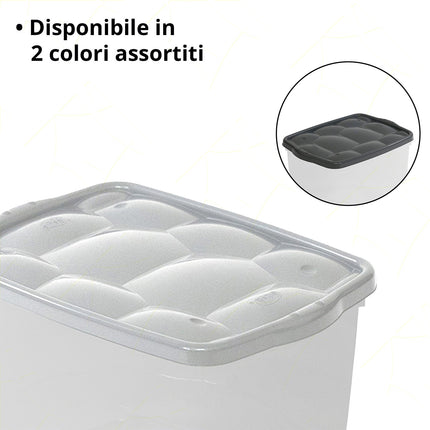 Salvaspazio Storage Box con Coperchio Varie Dimensioni Colori Assortiti