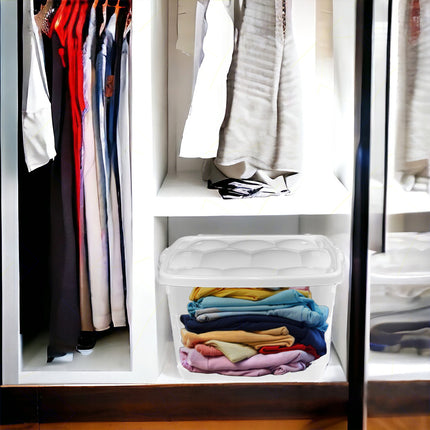 Salvaspazio Storage Box con Coperchio Varie Dimensioni Colori Assortiti