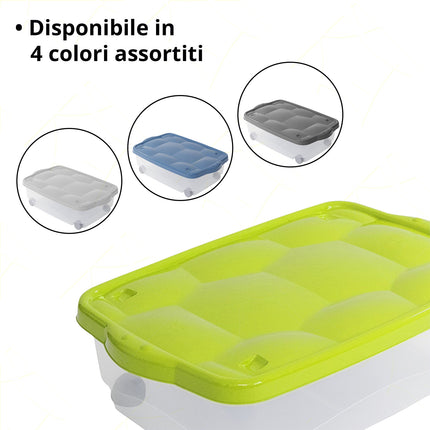 Belli & Forti Contenitore Con Coperchio Salvaspazio In Pvc Con Ruote 40X60X18,5 Colori Assortiti