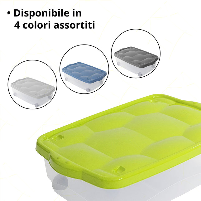 Belli & Forti Contenitore Con Coperchio Salvaspazio In Pvc Con Ruote 40X60X18,5 Colori Assortiti