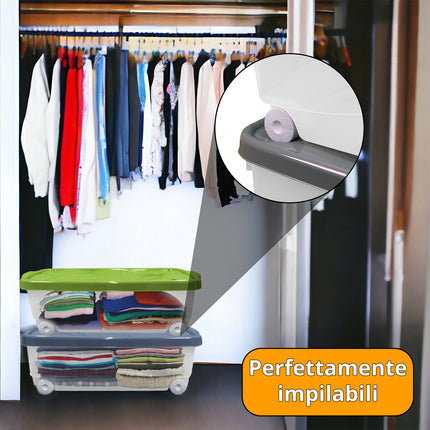 Belli & Forti Contenitore Con Coperchio Salvaspazio In Pvc Con Ruote 40X60X18,5 Colori Assortiti
