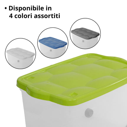 Salvaspazio Storage Box con Coperchio Varie Dimensioni Colori Assortiti
