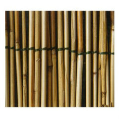 Casalinghi Sicignano Arella In Bamboo Confezionata Ombreggiante in Vari Formati per Esterni e Giardino Casalinghi Sicignano
