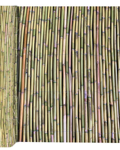 Canne Italia Arella in Bamboo Naturale, Ideale per Recinzioni Separè Coperture Spazi Privacy, Casa Giardino Mare Spiaggia, Utili per Creare Ombra Casalinghi Sicignano