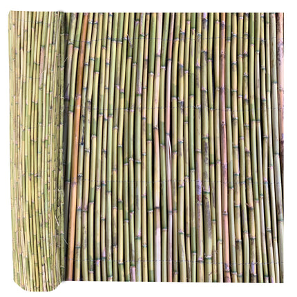 Canne Italia Arella in Bamboo Naturale, Ideale per Recinzioni Separè Coperture Spazi Privacy, Casa Giardino Mare Spiaggia, Utili per Creare Ombra Casalinghi Sicignano