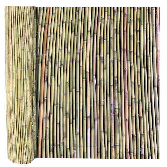 Canne Italia Arella in Bamboo Naturale, Ideale per Recinzioni Separè Coperture Spazi Privacy, Casa Giardino Mare Spiaggia, Utili per Creare Ombra Casalinghi Sicignano