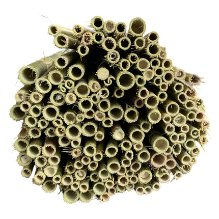 Canne Italia Arella in Bamboo Naturale, Ideale per Recinzioni Separè Coperture Spazi Privacy, Casa Giardino Mare Spiaggia, Utili per Creare Ombra Casalinghi Sicignano