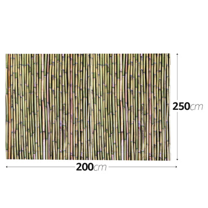 Canne Italia Arella in Bamboo Naturale, Ideale per Recinzioni Separè Coperture Spazi Privacy, Casa Giardino Mare Spiaggia, Utili per Creare Ombra 2.5 x 2 mt Casalinghi Sicignano