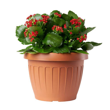 Bama Vaso Terra Tondo Plastica Terracotta In Varie Misure E Capacità Diverse