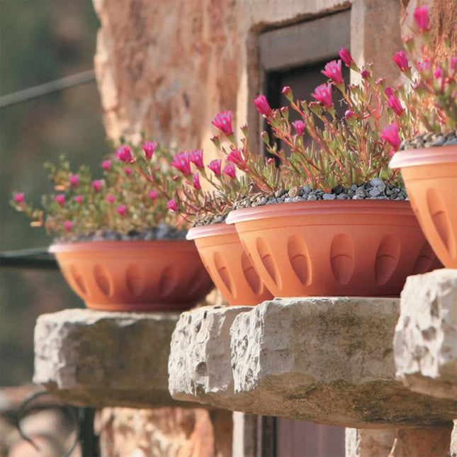 Bama Vaso Ciotola Alba Rotondo Basso Plastica Terracotta Con Sottovaso Per Piante