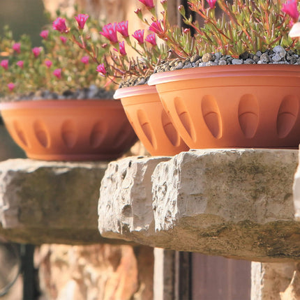 Bama Vaso Ciotola Alba Rotondo Basso Plastica Terracotta Con Sottovaso Per Piante Bama