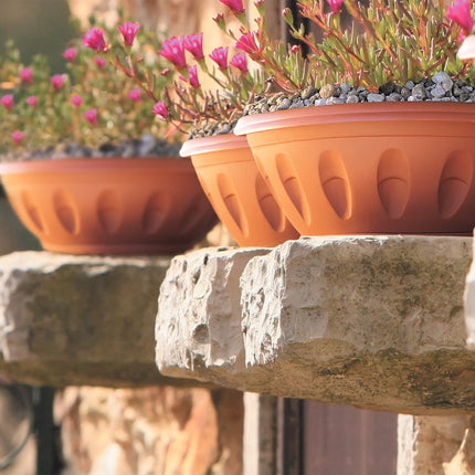 Bama Vaso Ciotola Alba Rotondo Basso Plastica Terracotta Con Sottovaso Per Piante