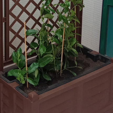 Bama Fioriera Con Spalliera Separé Da 80Cm Con Fioriera Interna In Plastica Dura Bama Bama