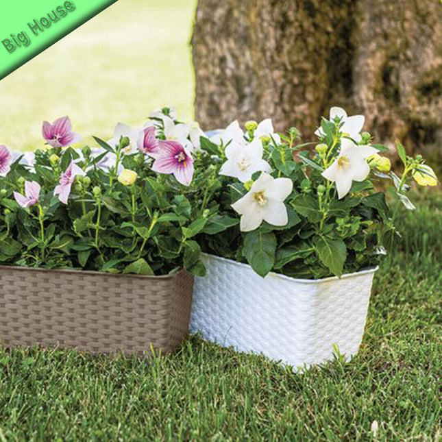 Balconetta Plastica Rettangolare Stefanplast 50X18X16 Cm Con Riserva Per Acqua
