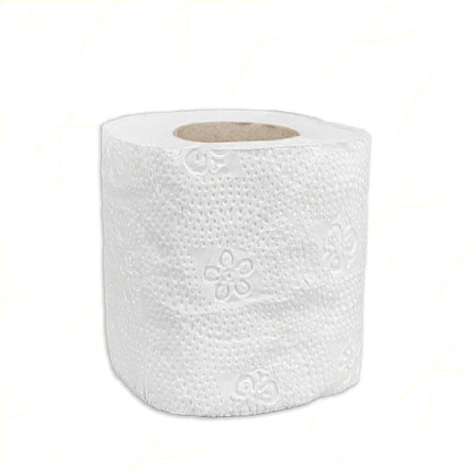 Carind Carta Igienica Dynamic: 10 Rotoli, 2 Veli Cellulosa, 104 Strappi (Uso Casalingo, Hotel, Famiglia)