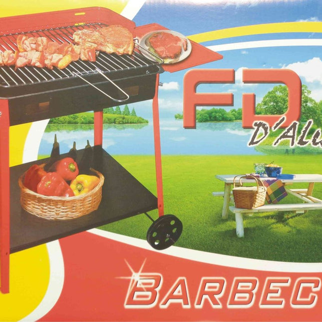 Barbecue a Carbone Rettangolare - Varie Misure per Ogni Spazio 30x45 cm (con ruote) D'Aluisio