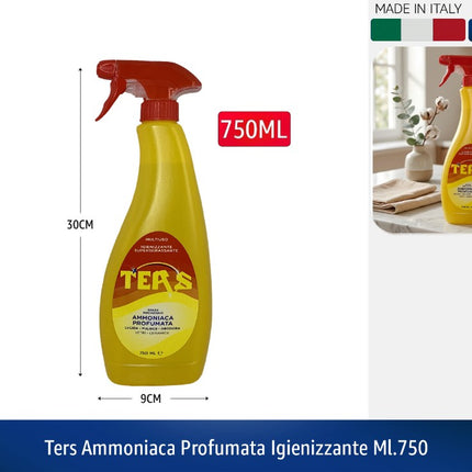 TERS AMMONIACA PROFUMATA IGIENIZZANTE ML.750 Chimiplast