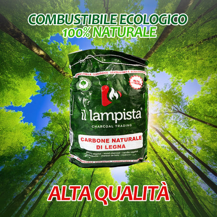 ARROSTACARCIOFI IN LAMIERE CON CARBONE KG.2,5 - DISPONIBILE RETTANGOLARE E TONDO Sardo Raffaele