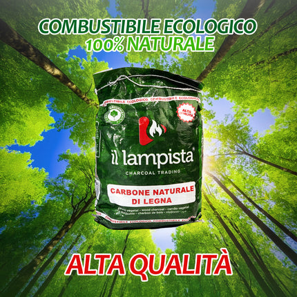 Carbone 2,5 kg con Accendifuoco Ecologico 32 pz - Kit Pronto Barbecue Casalinghi Sicignano