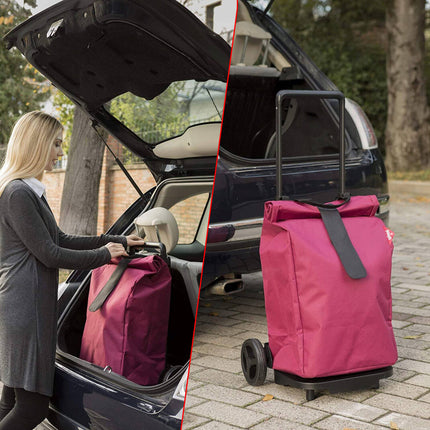 Gimi Carrello Spesa Shopping Sprinter Con Ruote 50L Portaspesa Resistente