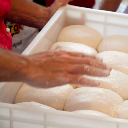 Sicignano Contenitore Panetti Lievitazione Pane Cassetta Portaimpasto Sovrapponibile