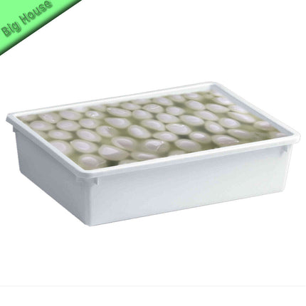 Contenitore Plastica Per Alimenti Frigo Rettangolare Cassetta Pesce Stefanplast