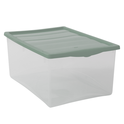 Salvaspazio Contenitore Plastica Portaoggetti Multiuso per Vestiti Grande Basso 55×39×25h cm