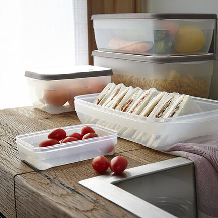 Contenitori Frigo Ermetici Per Alimenti Frigorifero Congelatore Micronde Grande