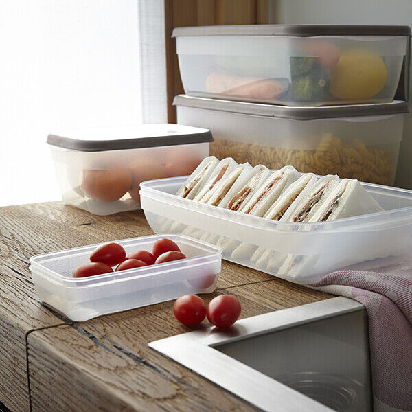 Contenitori Frigo Ermetici Per Alimenti Frigorifero Congelatore Micronde Grande