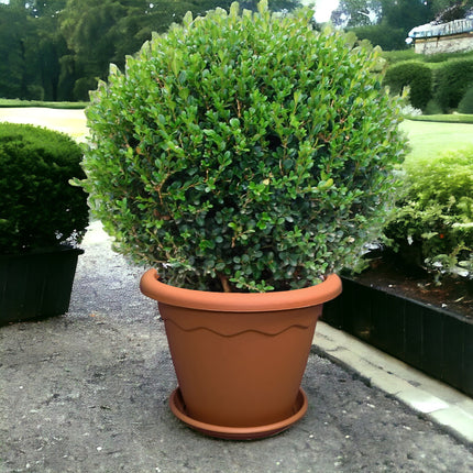 Duplast Vaso Vulcano Rotondo In Plastica Terracotta Per Piante E Giardino