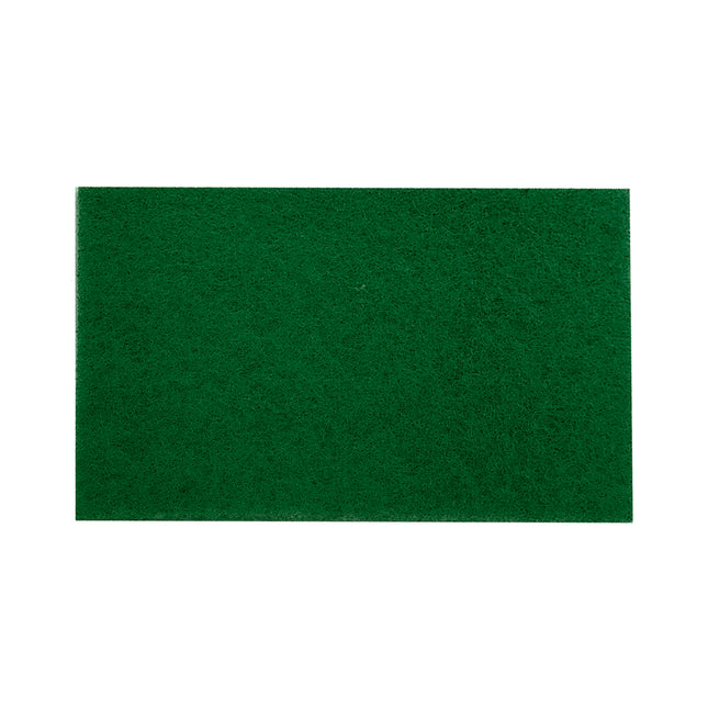 Spugna Fibra Professional Conf. 10 Pz. Cm.22X16 EasyBrill