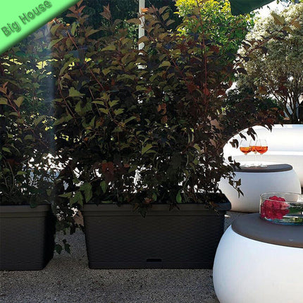 Fioriera Natural In Plastica Rettangolare Vaso Per Piante Fiori 80×40×34 Cm