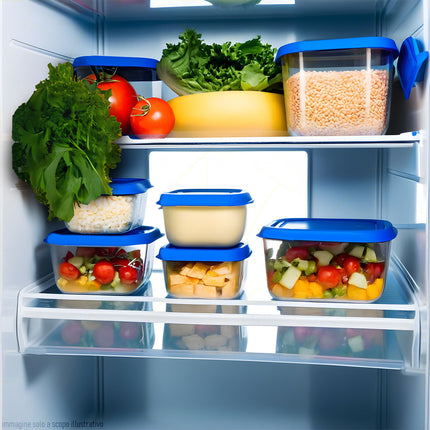 Giganplast Frigo Box Contenitore Ermetico Per Alimenti Grande Frigorifero Congelatore