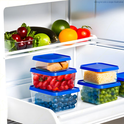 Giganplast Frigo Box Contenitore Ermetico Per Alimenti Grande Frigorifero Congelatore