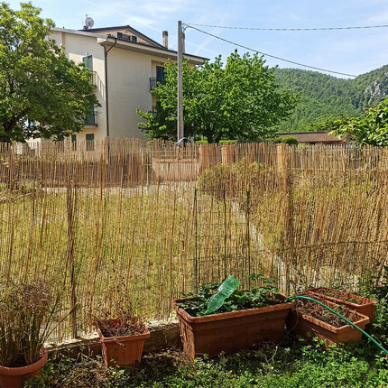Casalinghi Sicignano Arella in Bamboo Pelato – Canniccio Frangivista in Rotolo, Varie Misure, per Recinzioni, Pergole, Ombreggiatura e Arredo Esterno Casalinghi Sicignano