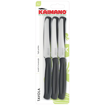 Coltelli da Tavola Dinamik 6 pz in Acciaio Inox 10,7cm con Manico in PP, Lavabili in Lavastoviglie, Taglio Preciso per Uso Alimentare