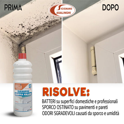 Muffa Killer 1Lt - Detergente Cloroattivo Professionale Antimuffa per Muri e Bagno - Made in Italy by La Briantina La Briantina