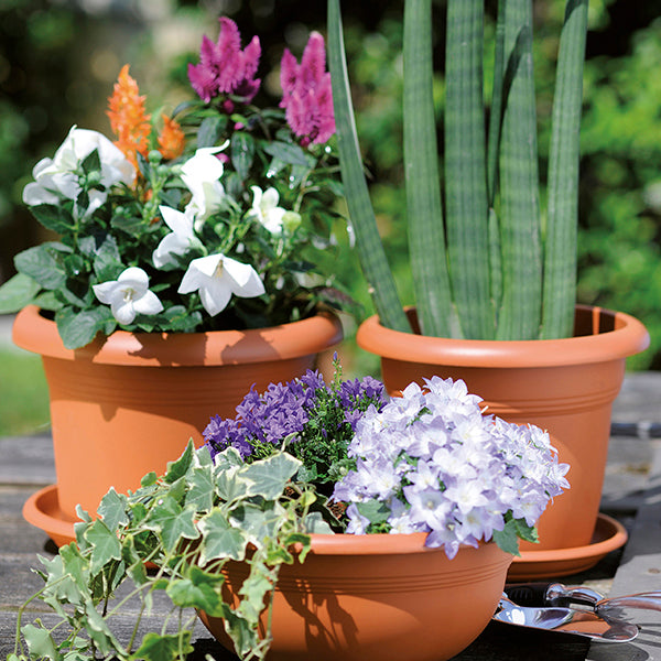 Stefanplast Vaso Ciotola Mediterranea In Plastica Terracotta Per Piante E Fiori