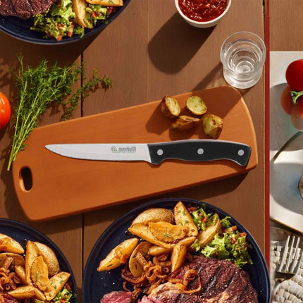Set 6 Coltelli da Bistecca o Tavola Horeca Lama Dentata 11 cm in Acciaio Inox con Manico Ergonomico