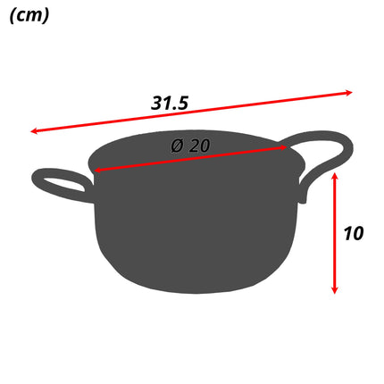 Sicignano Casseruola Daisy Acciaio Inox 2 Manici Per Induzione: L'Eleganza Funzionale Per Ogni Cucina Moderna 20 cm Casalinghi Sicignano