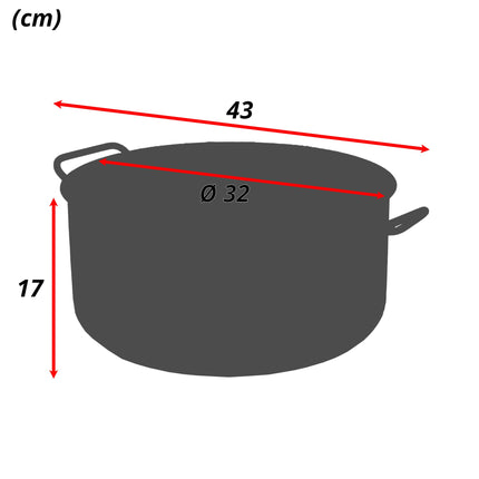 Sicignano Casseruola Daisy Acciaio Inox 2 Manici Per Induzione: L'Eleganza Funzionale Per Ogni Cucina Moderna 32 cm Casalinghi Sicignano