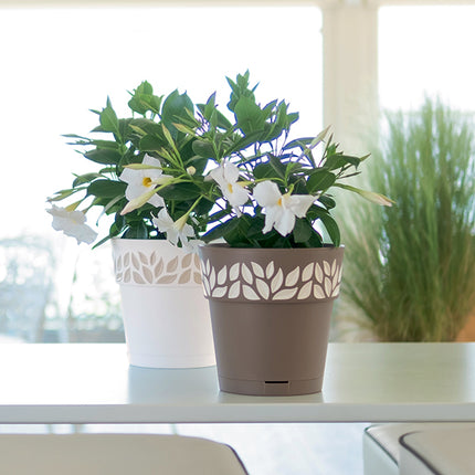 Stefanplast Vaso Opera Cloe Con Riserva D’Acqua Per Esterno E Interno In Design Elegante
