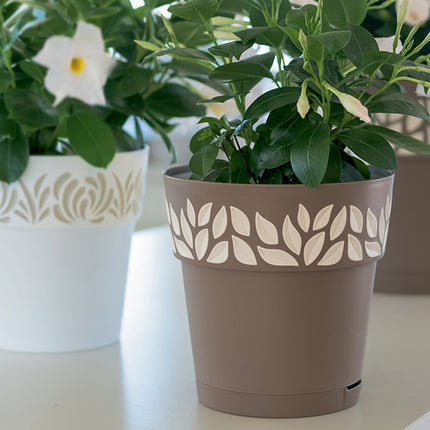 Stefanplast Vaso Opera Cloe Con Riserva D’Acqua Per Esterno E Interno In Design Elegante